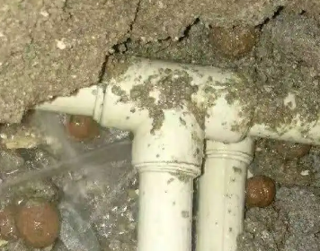 和布克赛尔测漏水多少钱