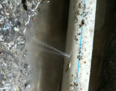 和布克赛尔测漏水哪家好