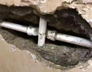 和布克赛尔测漏水哪家好