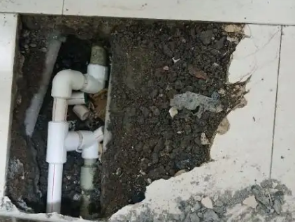 和布克赛尔测漏水哪家好