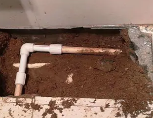 和布克赛尔测漏水哪家好