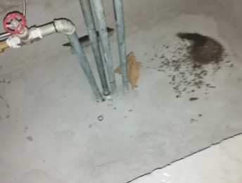 和布克赛尔卫生间测漏水价格明细