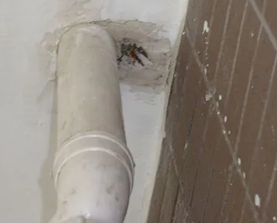 和布克赛尔漏水检测哪家好